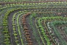Dutton Eastorganic-gardening-10.jpg; ?>